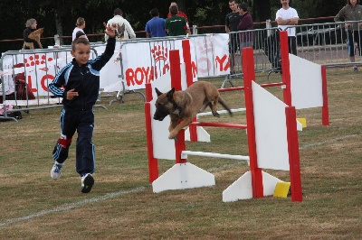 de l'eau du Shaï Hulud - mais aussi 1er concours d'agility !